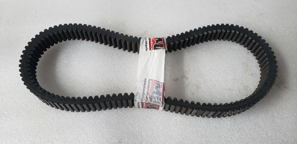 BELT - GATES - 210094