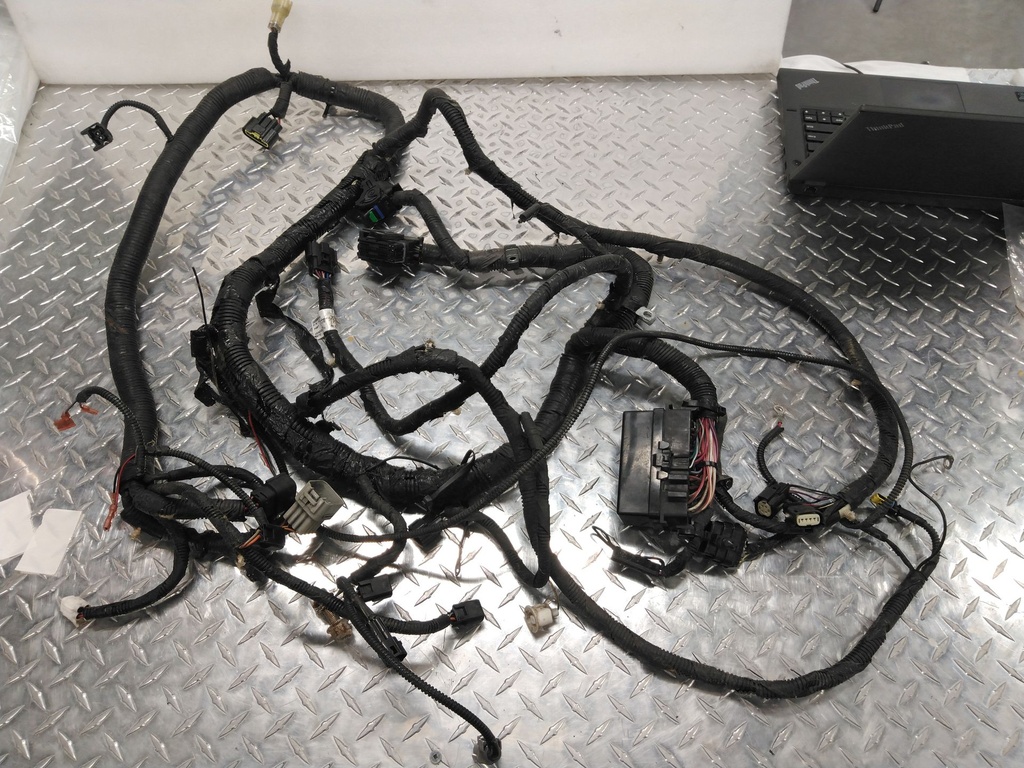 Harness, Main (inc. 10-17)