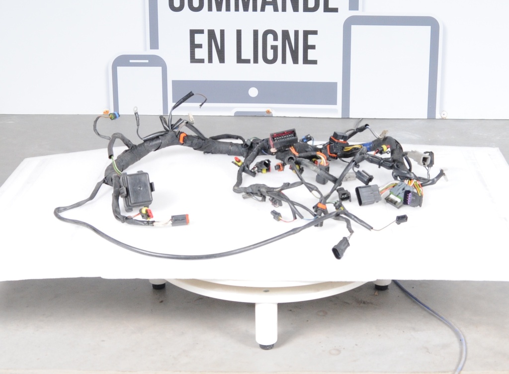 wiring harness main model-800 e-tec