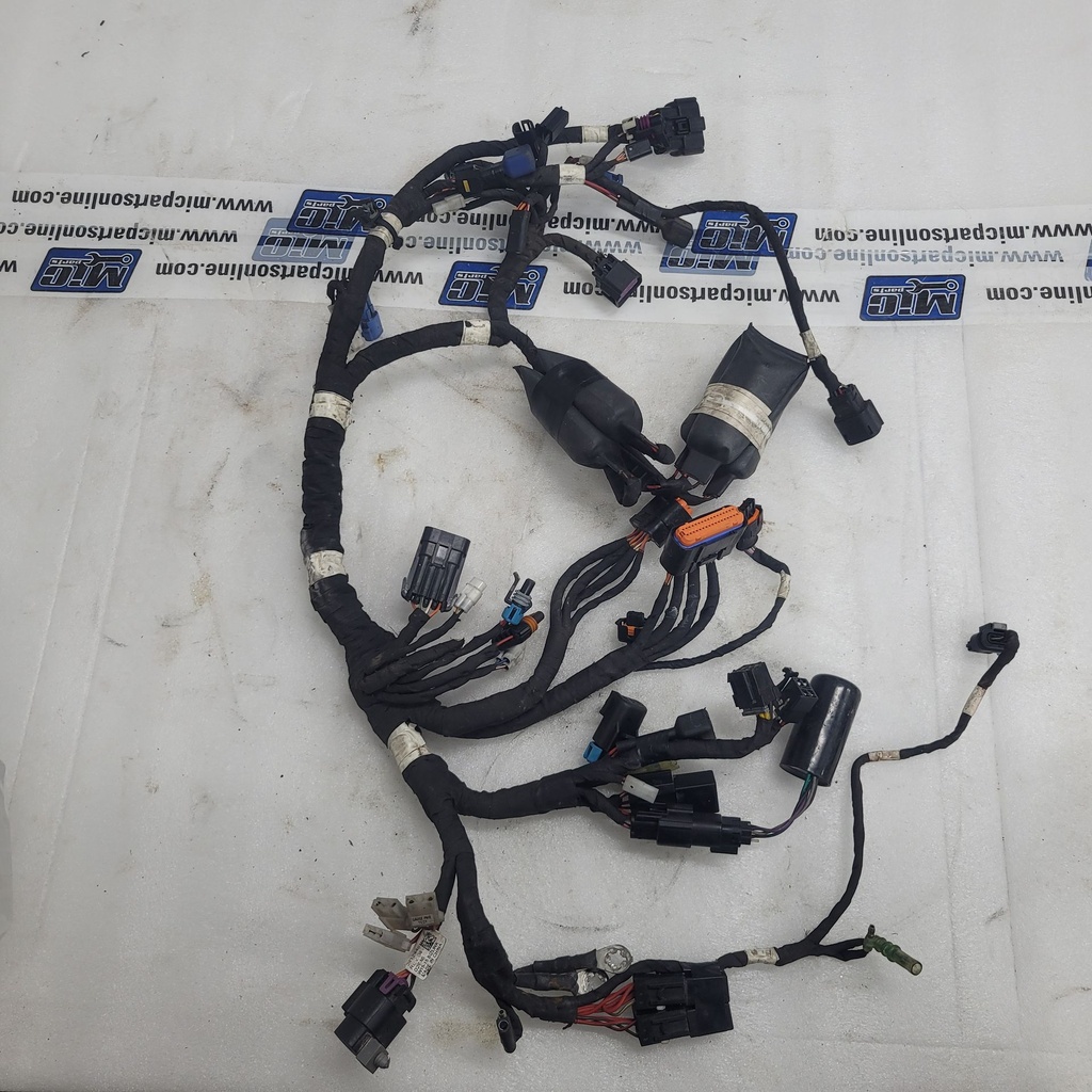 main harness, chrome, premium
