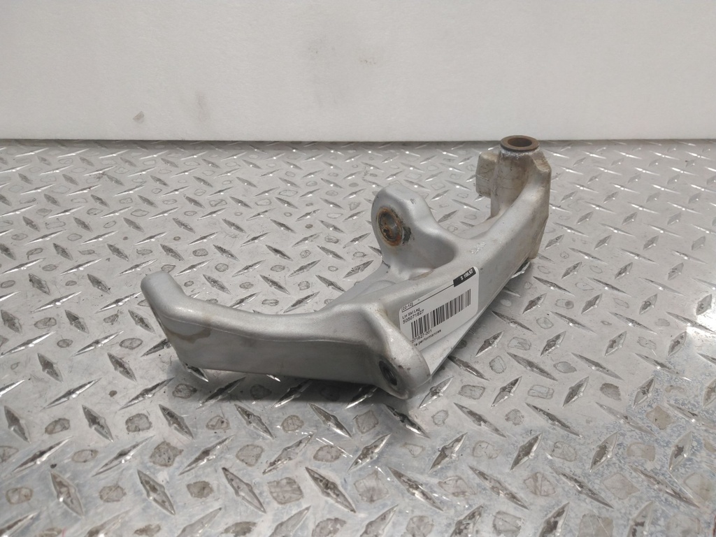 lh ski leg