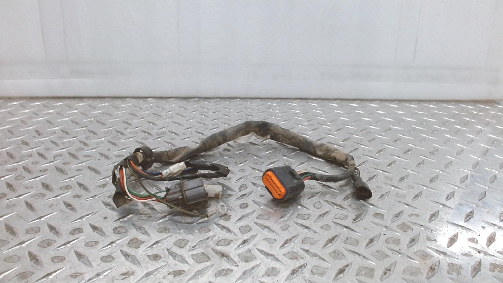 HARNESS, WIRING RM250Z
