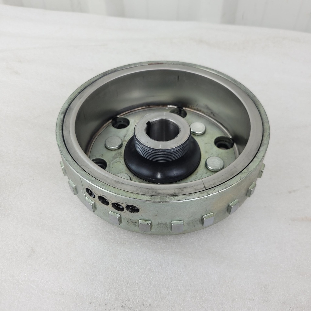 rotor,magneto kokusan,450-500w eps models