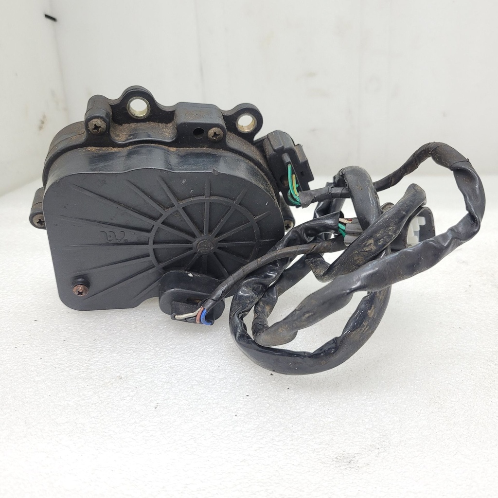 gear motor