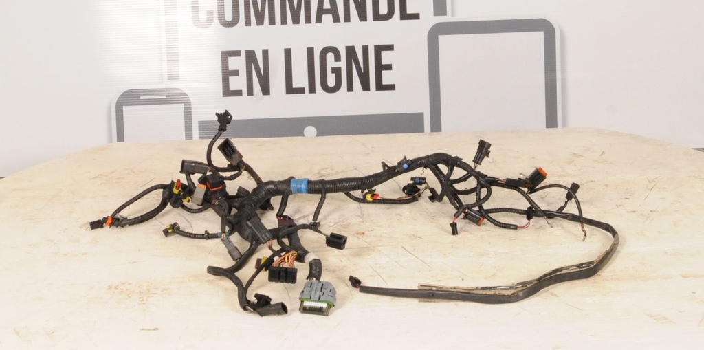 Main Harness Ass'y 800R ETEC,