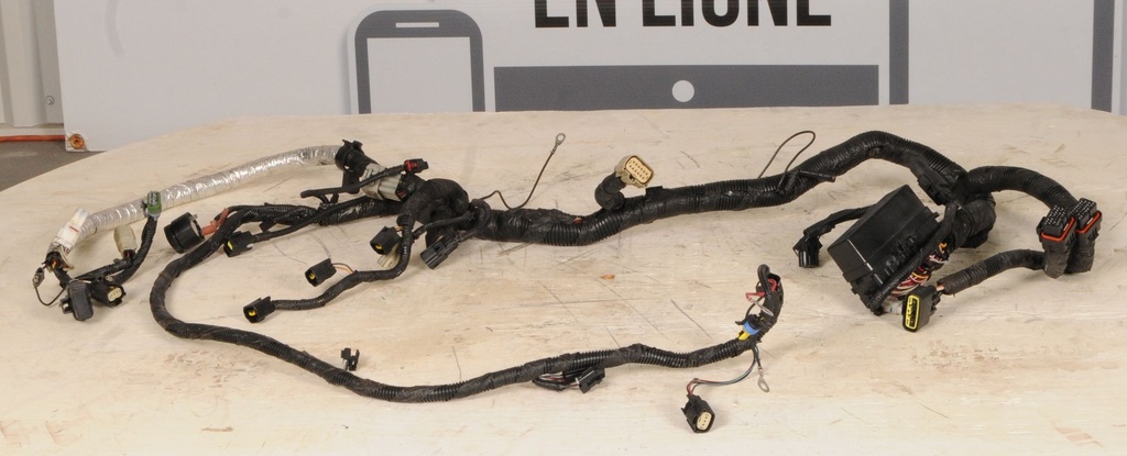 Harness, Main (inc. 8-16)