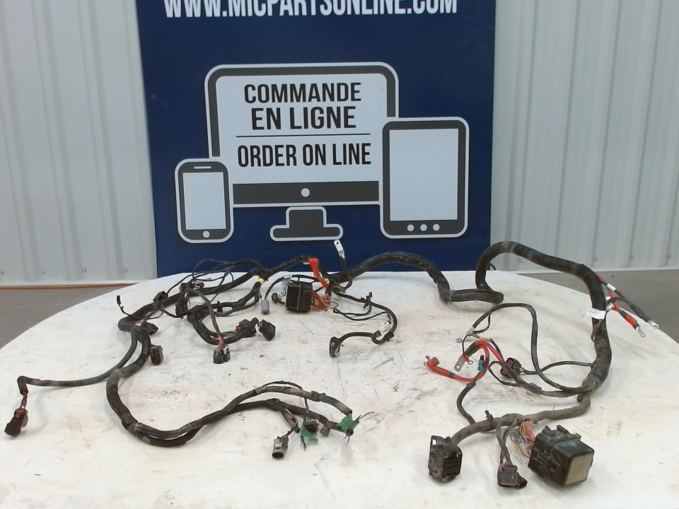 Main Wiring Harness
