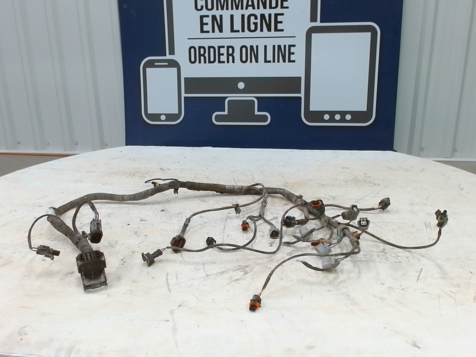 Wiring Harness