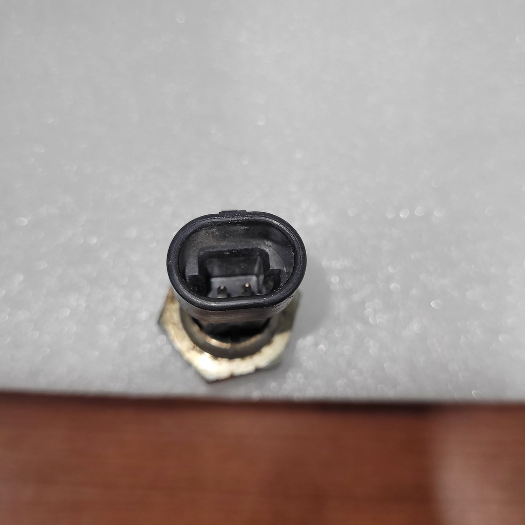 (new ref. 4081240) switch-brk,m10x1.25,sgl,30-79