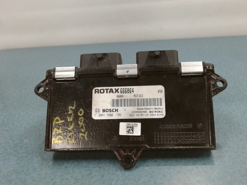 Electronic Module