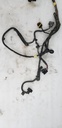 Harness - 710005755 CAN AM