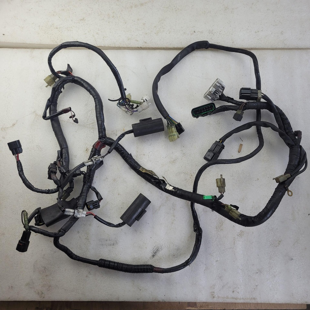 HARNESS ASSY SX VIPER