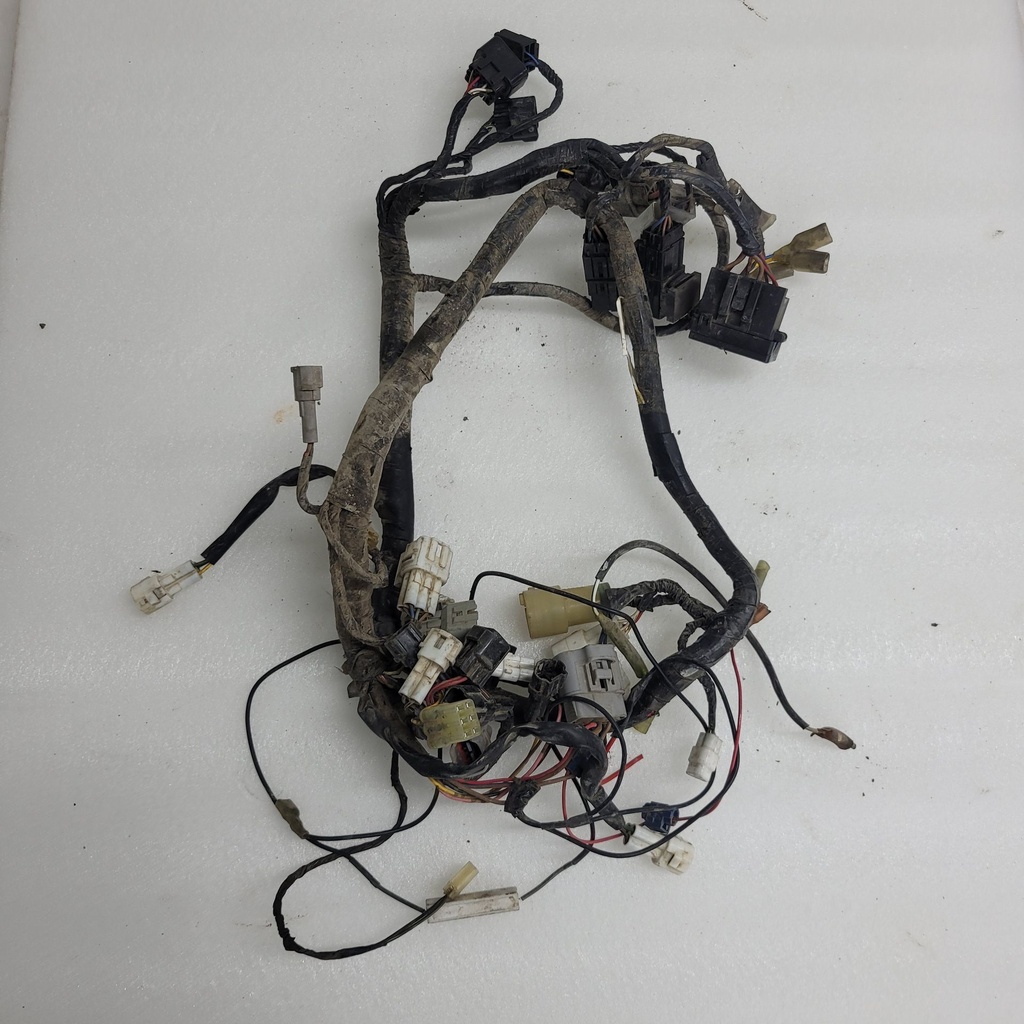 Wire Harness Assy (USA)
