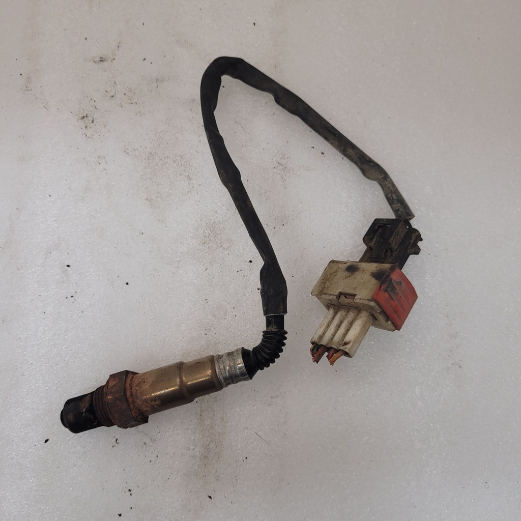 oxygen sensor