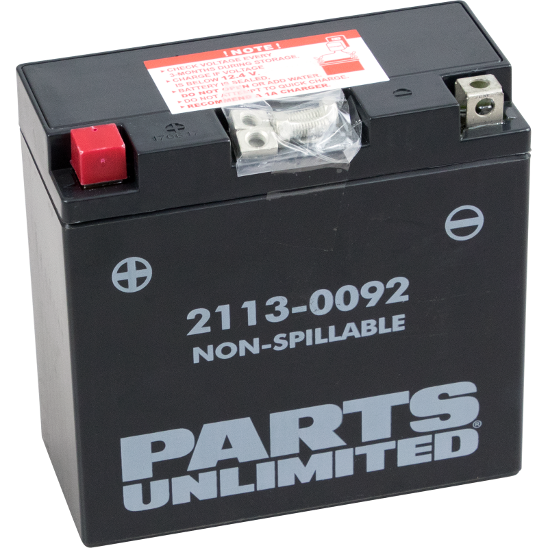 PARTS UNLIMITED BATTERIES  CT14B-4