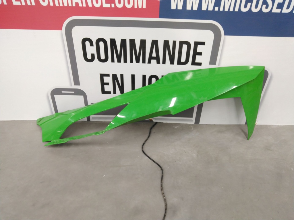 Hood w/o Decals - Righ 30%