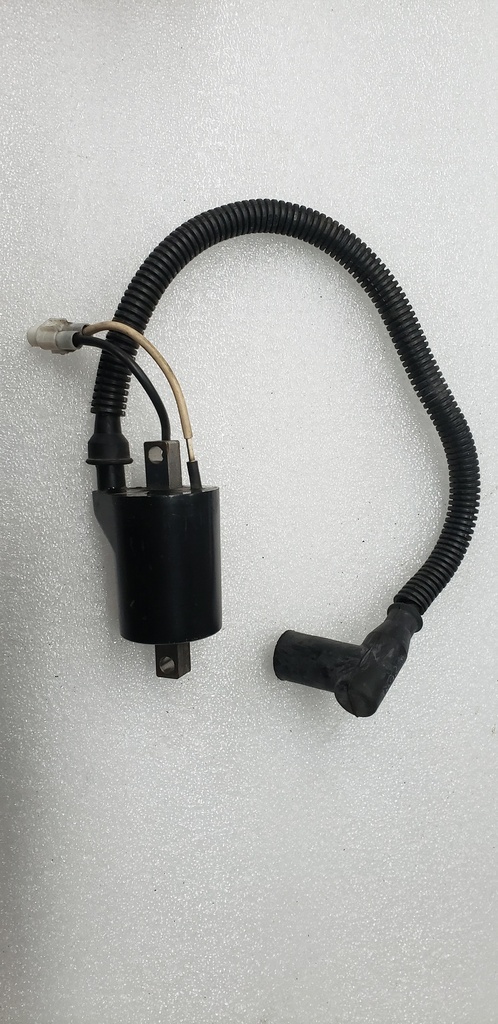 ignition coil w/ cap