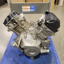 BRP (Can-am / Ski-doo)-long block, 800-420081020