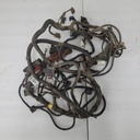 BRP (Can-am / Ski-doo)-Harness Ass'y-710002485