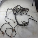 POLARIS-Harness, Main SP500 20-2411403