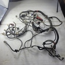 POLARIS-HARNESS-MAIN,550,X2-2411414