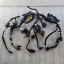 POLARIS-MAIN-HARNESS-2411663