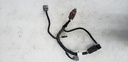 POLARIS-HOOD HARNESS, 550-2411751