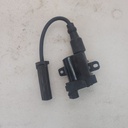 BRP (Can-am / Ski-doo)-Ignition Coil-512061358