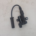 BRP (Can-am / Ski-doo)-ignition coil-512061358