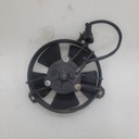 BRP (Can-am / Ski-doo)-Fan-509000456