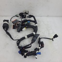 POLARIS-harness-main le std-2412445