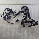 POLARIS-HARNESS-MAIN LE STD-2412711