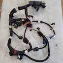 POLARIS-MAIN HARNESS, LE, STD-2413103