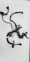 POLARIS-MAIN HARNESS WIRE, 550-2413104