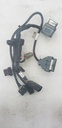 POLARIS-HOOD HARNESS-2413401