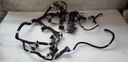 POLARIS-MAIN HARNESS, 800 WT, PBR-2413624