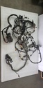 POLARIS-HARNESS-CHASSIS - POLARIS - 2414446-2414446
