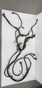 POLARIS-HARNESS-MAIN,SPORTSMAN 50 - POLARIS - 2461041 polaris-2461041