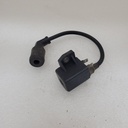 ARCTIC CAT-COIL ASSY, IGNITION-3430-055