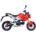 LEOVINCE-LEOVINCE  15237B-10-1811-3957