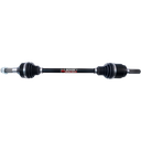 DEMON-DEMON  PAXL-4018HD-10-0214-1310