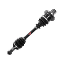 DEMON-DEMON  PAXL-1059-10-0214-2332