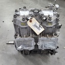 BRP (Can-am / Ski-doo)-ShortBlock-420084946