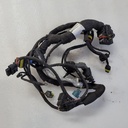 BRP (Can-am / Ski-doo)-Engine Harness-420864543