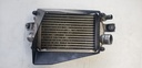ARCTIC CAT-ARCTIC CAT Intercooler - 3006-818-3006-818