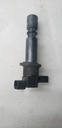 ARCTIC CAT-coil, ignition-3007-236