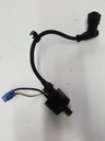 ARCTIC CAT-Coil, Ignition - Assembly-3007-548