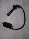 ARCTIC CAT-coil, ignition - bottom short-3007-835