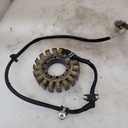BRP (Can-am / Ski-doo)-stator plate-420685500