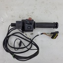 BRP (Can-am / Ski-doo)-(new ref. 710004015) rh switch housing-710002221
